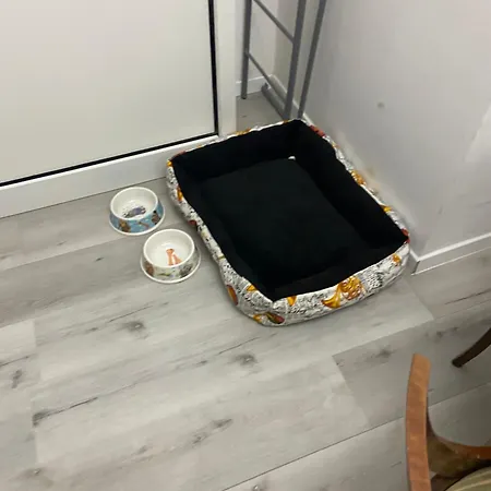 아파트 Con Terrazo Solare 페루자