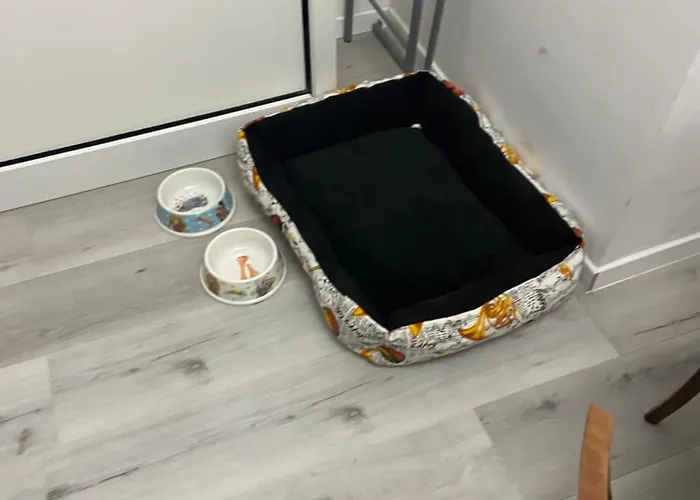 公寓 Con Terrazo Solare 佩鲁贾